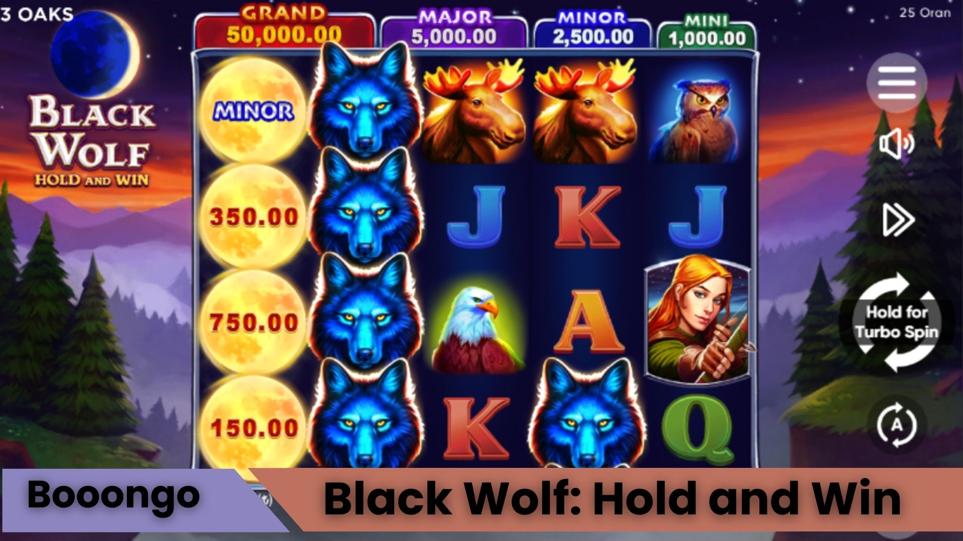 Black Wolf: Hold and Win Oyna