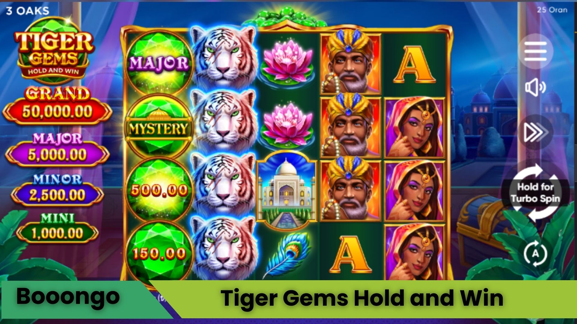 Tiger Gems Hold and Win Oyna