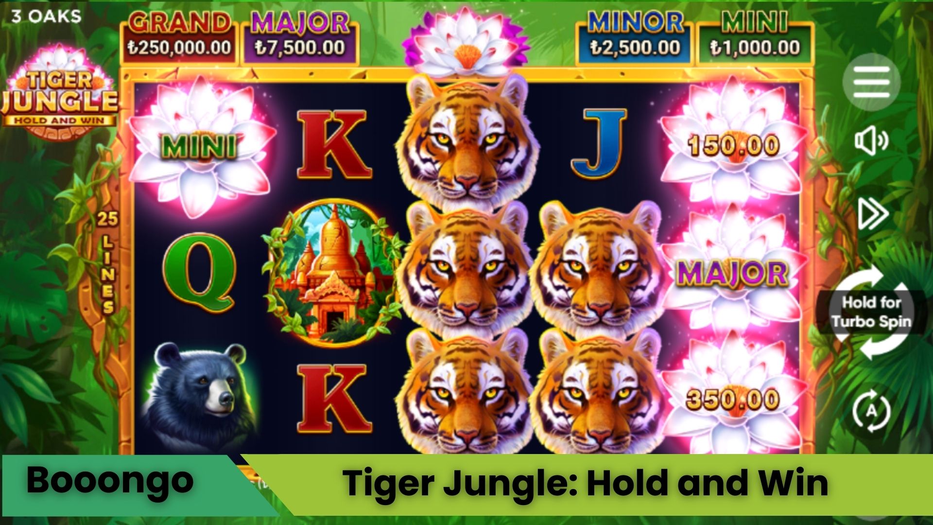 Tiger Jungle Hold and Win Oyna