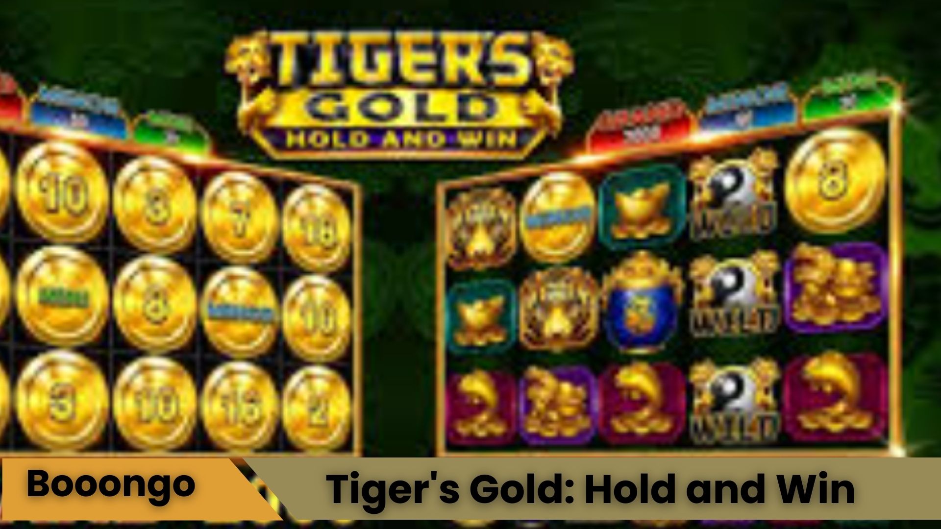 Tiger's Gold: Hold And Win Oyna