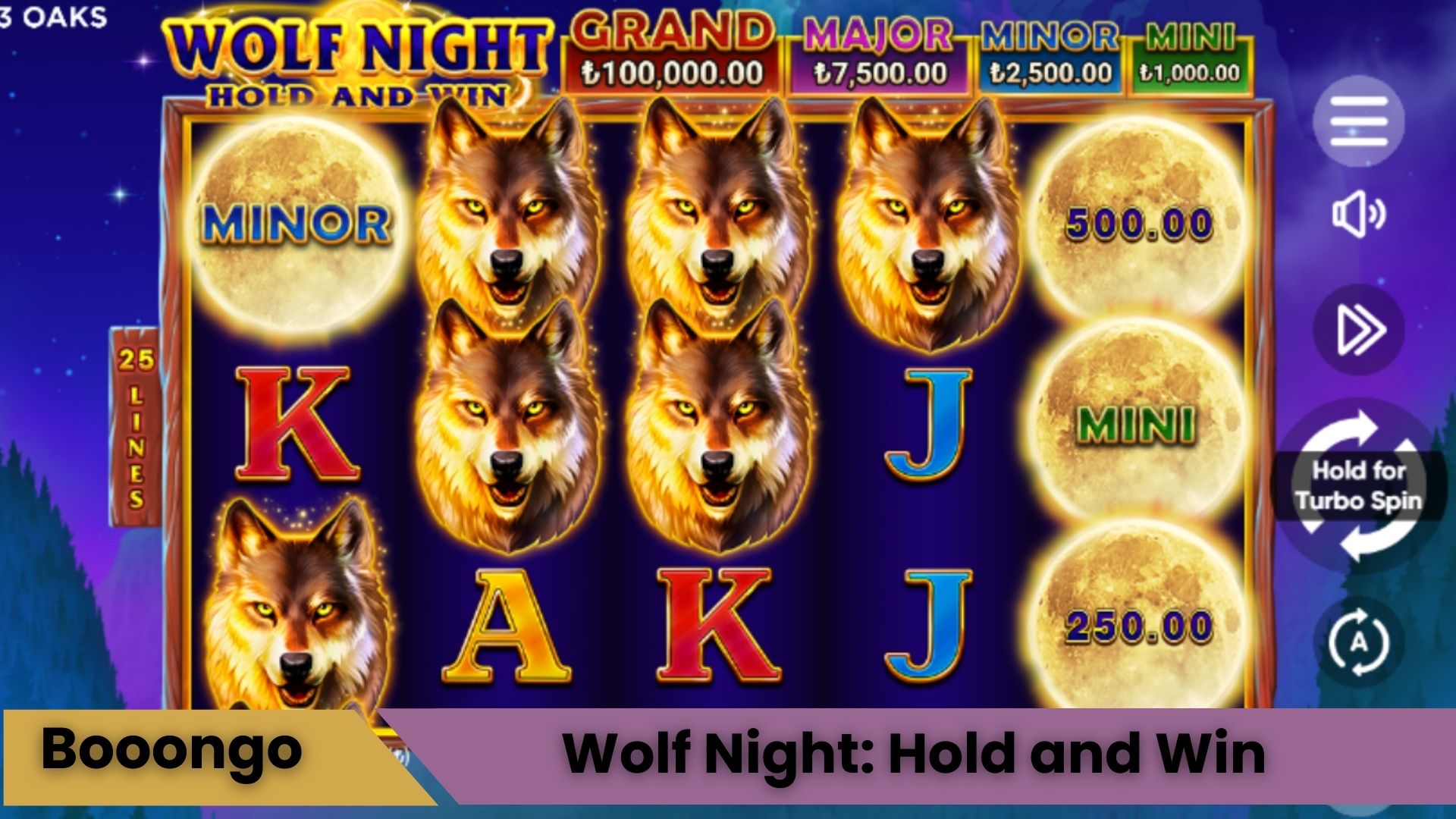 Wolf Night: Hold and Win Oyna